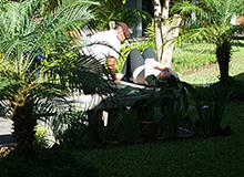 Guatemala Chaplaincy 2017